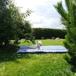 Amazonas Molly Ocean -Gartenmöbel Store amazonas molly ocean 5050103 4 1