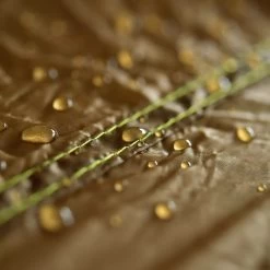 Amazonas Adventure Wing Tarp NEW 31 Amazonas Adventure Wing Tarp NEW -Gartenmöbel Store garten deals amazonas aventure wing tarp 3080016 14