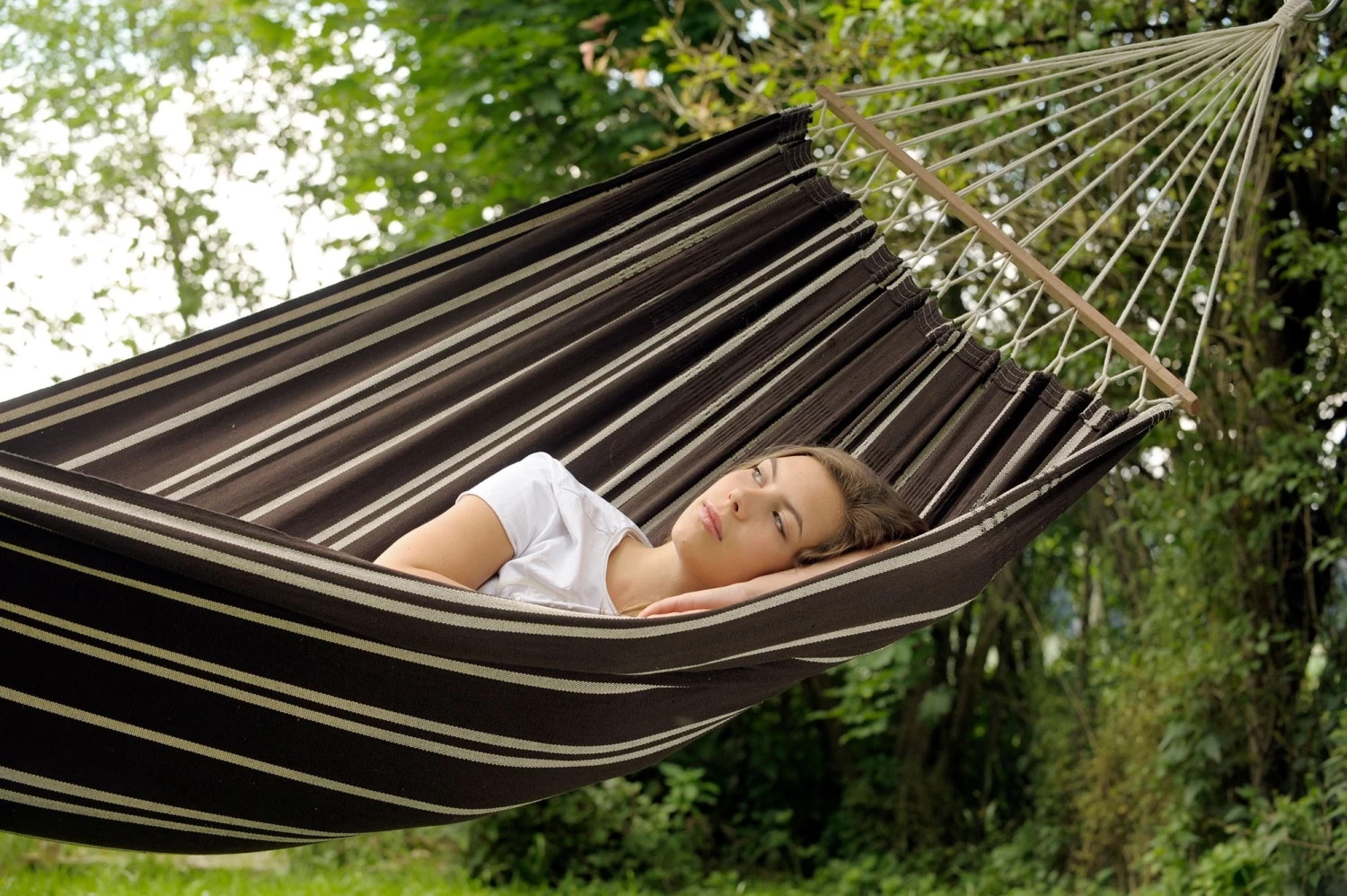 Amazonas Brasilia Mocca 8 Amazonas Brasilia Mocca – Bild 6