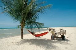 Amazonas Paradiso Terracotta Hängematte -Gartenmöbel Store garten deals amazonas paradiso terracotta 1019300 8 1