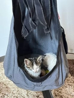 Lola Hängehöhle LOLI CAT Noire 34 Lola Hängehöhle LOLI CAT Noire -Gartenmöbel Store lola haengehohle loli cat noire 12929 13