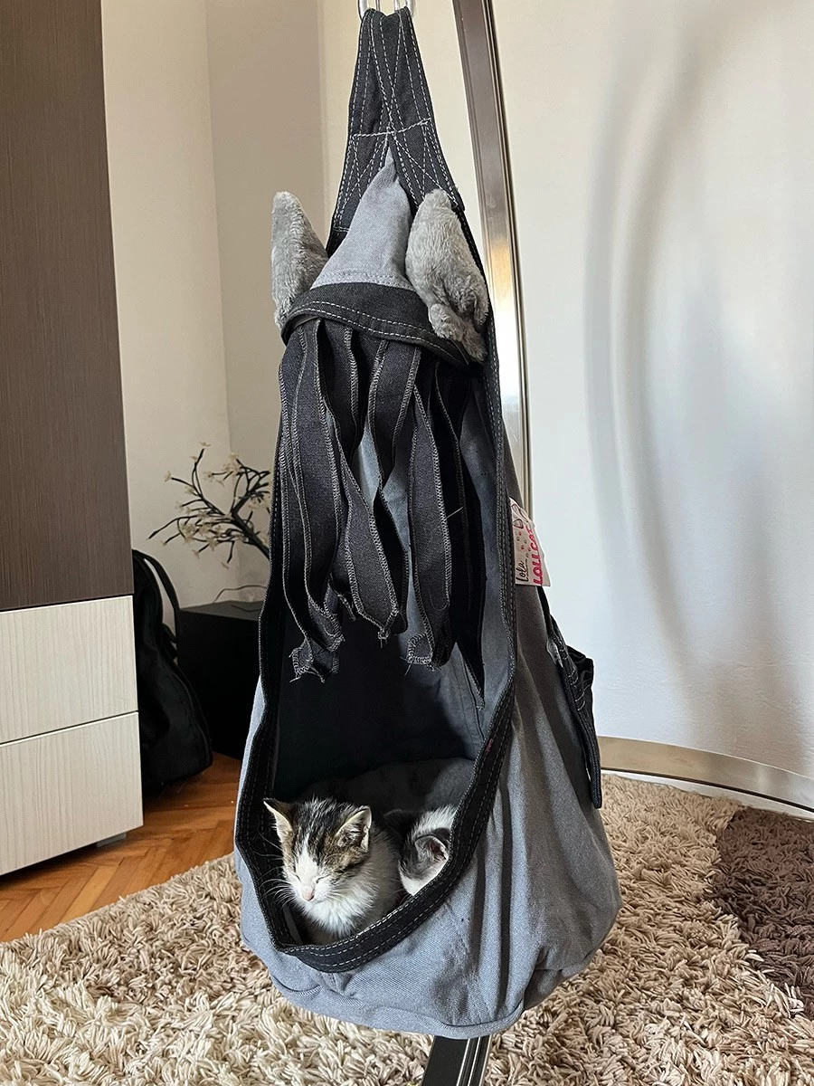 Lola Hängehöhle LOLI CAT Noire 18 Lola Hängehöhle LOLI CAT Noire – Bild 16