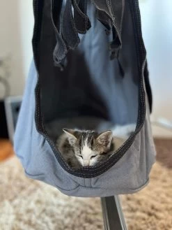 Lola Hängehöhle LOLI CAT Noire 38 Lola Hängehöhle LOLI CAT Noire -Gartenmöbel Store lola haengehohle loli cat noire 12929 17