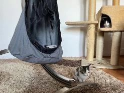 Lola Hängehöhle LOLI CAT Noire 40 Lola Hängehöhle LOLI CAT Noire -Gartenmöbel Store lola haengehohle loli cat noire 12929 19