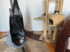 Lola Hängehöhle LOLI CAT Noire 41 Lola Hängehöhle LOLI CAT Noire -Gartenmöbel Store lola haengehohle loli cat noire 12929 20