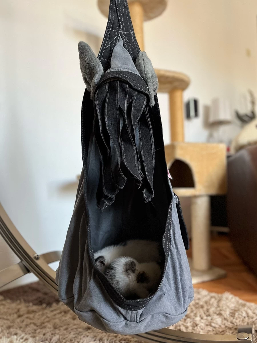 Lola Hängehöhle LOLI CAT Noire 7 Lola Hängehöhle LOLI CAT Noire – Bild 5