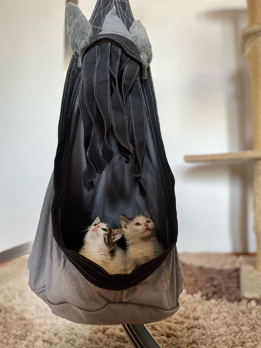 Lola Hängehöhle LOLI CAT Noire 9 Lola Hängehöhle LOLI CAT Noire – Bild 7